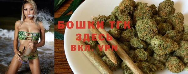 Альфа ПВП Дмитровск