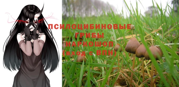 Альфа ПВП Дмитровск